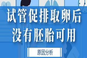 试管促排取卵后没有胚胎可用的原因分析