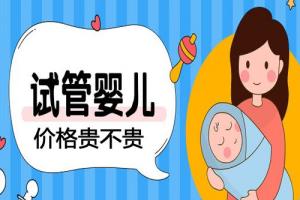 一文详解做试管婴儿价格贵不贵（内附费用名及成功率）