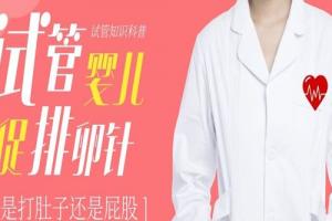 试管婴儿促排卵针是打肚子还是屁股[试管知识科普]