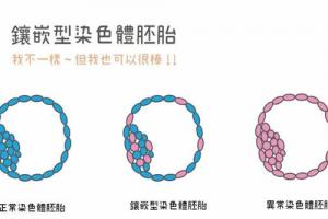 三代试管嵌合体胚胎能否进行移植-根据实际情况而定