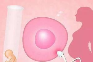 第一次试管婴儿没有成功该怎么办-总结经验很重要