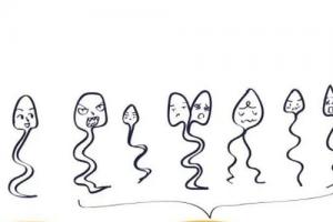 精子正常形态率低可以做试管婴儿吗-可选择第二代试管