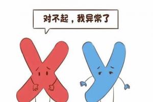 [专项科普]染色体异常做试管婴儿的成功率高吗