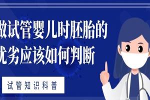 做试管婴儿时胚胎的优劣应该如何判断-试管知识科普