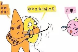 女性抗精子抗体阳性做试管婴儿能成功吗-当然可以