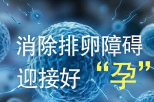 排卵障碍做试管婴儿成功的几率大吗-看完会有惊到你