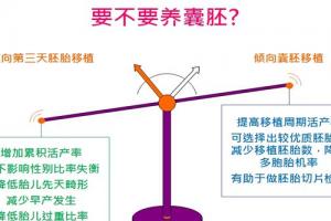专家揭秘做试管婴儿到底要不要养囊-且看根据自身情况而定