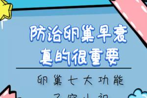 防治卵巢早衰真的很重要-卵巢七大功能不容小视