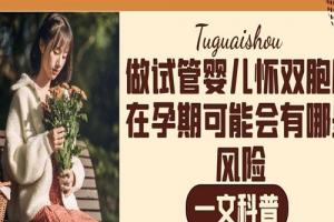做试管婴儿怀双胞胎在孕期可能会有哪些风险-一文科普