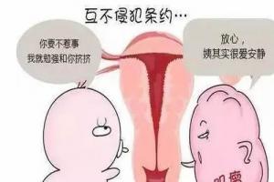 [科普文]得了子宫肌瘤可以做试管婴儿吗-因症而异