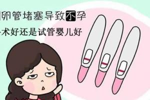 输卵管堵塞手术好还是试管婴儿好-两个方向进行分析