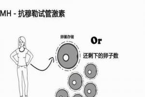 当amh值小于1还值不值得做试管婴儿-真的不必失望