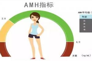 amh值0.01有希望能做试管吗