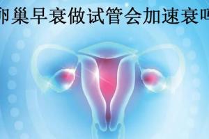 专家解读卵巢早衰做试管会不会加速衰-这种担心完全是多余的