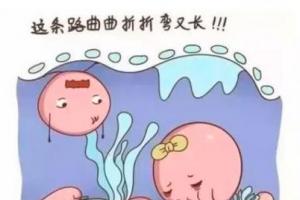 男性患有严重少精症还能做试管婴儿吗成功率高吗?听听生殖专家的科普