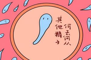 男性精子活力弱能做试管婴儿吗成功的几率高吗-科普