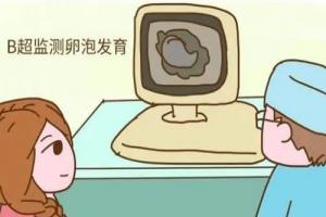 B超监测显示卵泡不好这样的人能做试管吗成功率高吗-科普