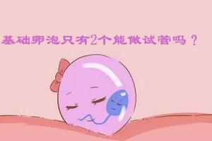 想做试管但是基础卵泡只有2个能做吗?看完就明白了
