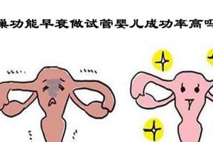 女性卵巢功能早衰患者做试管婴儿的成功率高吗,视情况而定
