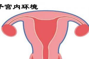 做试管婴儿移植前怎么调理子宫?听听生殖专家的科普