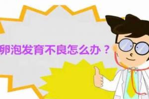 卵泡发育不良-六个方法教你在日常生活中怎样调理