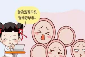 卵泡发育不良对怀孕是否有影响-听专家解析卵泡发育不良的表现及原因
