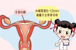 子宫内膜的厚度会影响试管成功率吗-内附子宫内膜的三个阶段