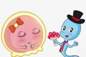 想要试管成功-不要做这六件伤害卵子的事-女性朋友千万要注意