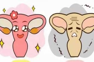 专家解读六大症状表现暗示有卵巢早衰-如何预防是关键