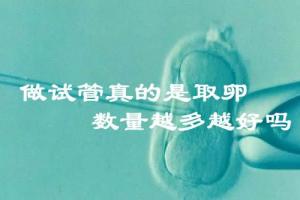 女性做试管真的是取卵数量越多越好吗?生殖专家回应真相并非如此