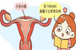 专家科普：子宫内膜薄会影响试管婴儿成功率吗