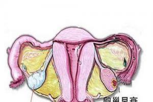 女性过早卵巢早衰怎么办还能调理回来吗-盘点4种挽回卵巢早衰的办法