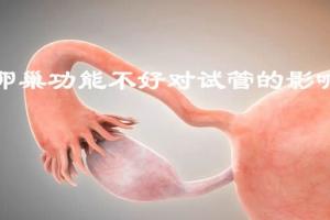 盘点女性卵巢功能不好对试管的4个影响-每一个都很重要