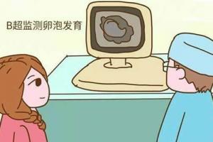 专家解析女性卵泡发育不好或没有卵泡能做试管婴儿吗-试管婴儿试管可做最后的考虑