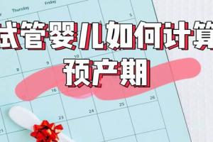 试管婴儿移植后如何计算预产期-请看预产期计算器