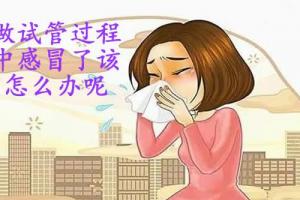 做试管过程中感冒了该怎么办呢？不要慌，听听医生怎么说
