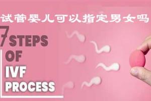 试管婴儿可以指定男女吗?从法律和技术的角度谈试管婴儿性别筛选