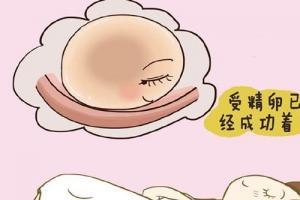 受精卵着床的6个感觉-真的很奇妙