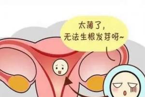 女性子宫内膜太薄会导致不孕！提前预防很重要！