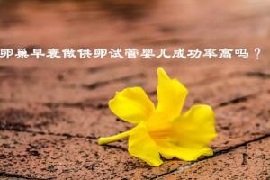 卵巢早衰做供(借)卵试管婴儿成功率高吗？不知道的赶紧来看看