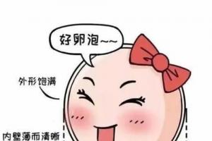 3个判断卵泡质量的方法-提高试管婴儿过程中卵子的质量