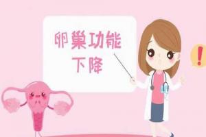 卵巢功能差做试管婴儿成功率高吗-专业解析