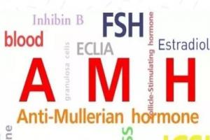 好消息！amh值0.19也是有希望成功做试管婴儿了