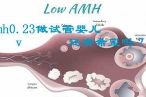 好消息！amh值0.23也是有希望成功做试管婴儿的了