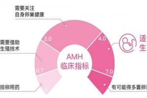 生殖专家科普-AMH值0.5还能自然怀孕吗