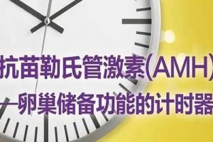生殖专家科普-AMH值0.2还能自然怀孕吗