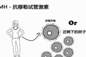科普AMH值低可以做试管婴儿吗-看完你就明白了