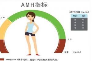 科普amh值指标与试管婴儿的关系-amh值评估试管取卵数量