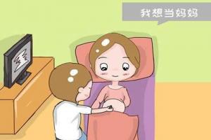 40岁真的可以做试管婴儿试管婴儿吗-详解成功率、条件、费用情况