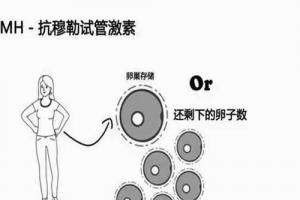 卵巢早衰amh值不高还能做试管婴儿吗？看完这篇科普文章就懂了